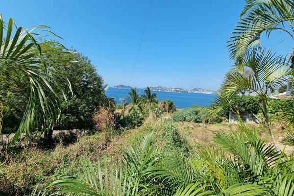 Foto de terreno habitacional en , playa guitarrón, acapulco de juárez, guerrero, 0 foto 01 Foto de terreno habitacional en venta en , playa guitarrón, acapulco de juárez, guerrero, 0 No. 01