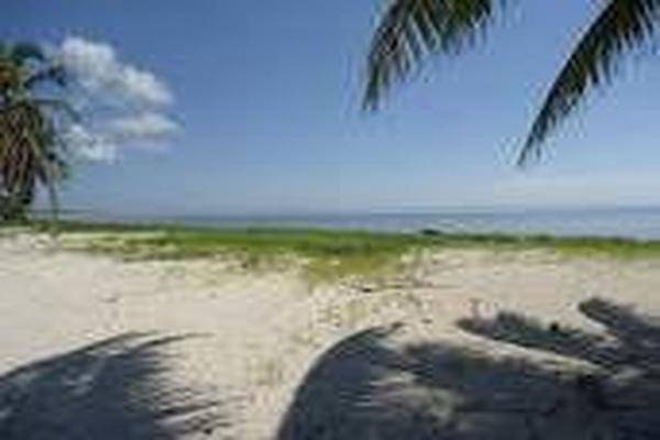 Foto de terreno habitacional en , playa uvero, othón p. blanco, quintana roo, 0 foto 01 Foto de terreno habitacional en venta en , playa uvero, othón p. blanco, quintana roo, 0 No. 01