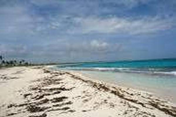 Foto de terreno habitacional en , playa uvero, othón p. blanco, quintana roo, 0 foto 02 Foto de terreno habitacional en venta en , playa uvero, othón p. blanco, quintana roo, 0 No. 02