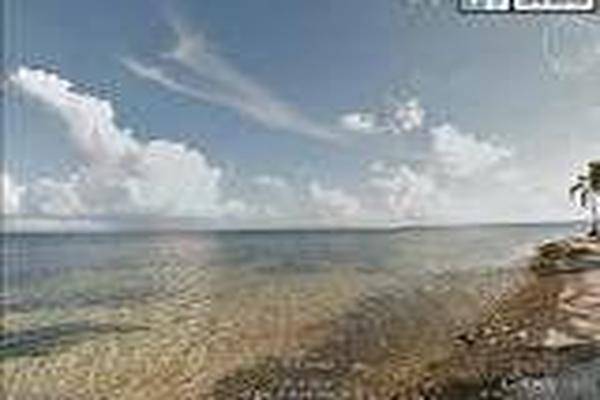 Foto de terreno habitacional en , playa uvero, othón p. blanco, quintana roo, 0 foto 03 Foto de terreno habitacional en venta en , playa uvero, othón p. blanco, quintana roo, 0 No. 03