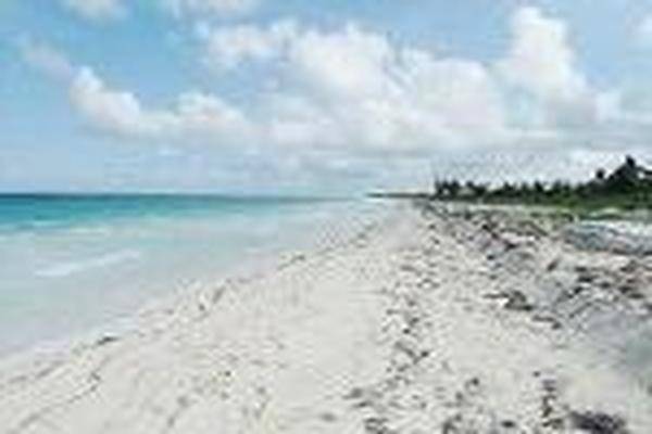 Foto de terreno habitacional en , playa uvero, othón p. blanco, quintana roo, 0 foto 05 Foto de terreno habitacional en venta en , playa uvero, othón p. blanco, quintana roo, 0 No. 05