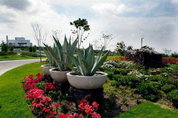 Foto de terreno habitacional en privada ceiba, fraccionamiento zibata, queretaro , pedregal del cimatario, querétaro, querétaro, 0 foto 03 Foto de terreno habitacional en venta en privada ceiba, fraccionamiento zibata, queretaro , pedregal del cimatario, querétaro, querétaro, 0 No. 03
