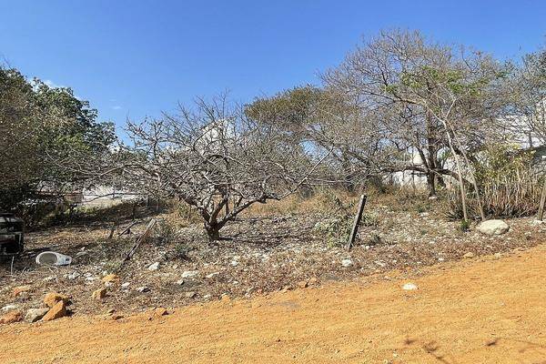 Foto de terreno habitacional en proverbios , el sabino, berriozábal, chiapas, 0 foto 03 Foto de terreno habitacional en venta en proverbios , el sabino, berriozábal, chiapas, 0 No. 03