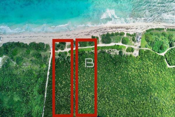 Foto de terreno habitacional en , puerto morelos, benito juárez, quintana roo, 0 foto 01 Foto de terreno habitacional en venta en , puerto morelos, benito juárez, quintana roo, 0 No. 01