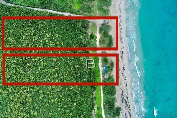 Foto de terreno habitacional en , puerto morelos, benito juárez, quintana roo, 0 foto 02 Foto de terreno habitacional en venta en , puerto morelos, benito juárez, quintana roo, 0 No. 02