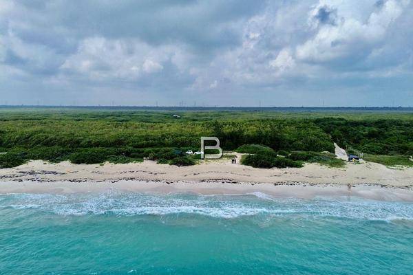 Foto de terreno habitacional en , puerto morelos, benito juárez, quintana roo, 30522478 foto 04 Foto de terreno habitacional en venta en , puerto morelos, benito juárez, quintana roo, 30522478 No. 04