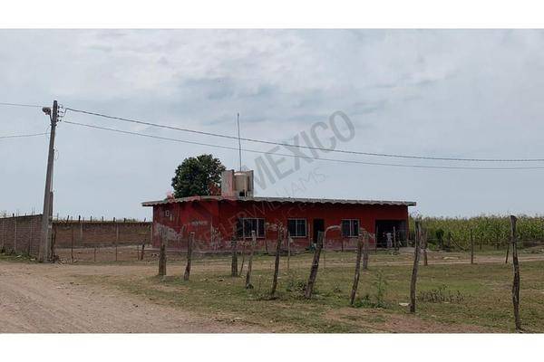 Foto de rancho en , quimichis, tecuala, nayarit, 0 foto 01 Foto de rancho en venta en , quimichis, tecuala, nayarit, 0 No. 01