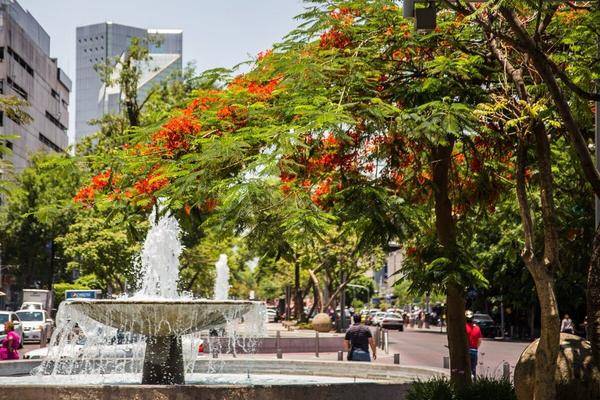 Foto de terreno habitacional en ramos millan , americana, guadalajara, jalisco, 28294752 foto 02 Foto de terreno habitacional en venta en ramos millan , americana, guadalajara, jalisco, 28294752 No. 02