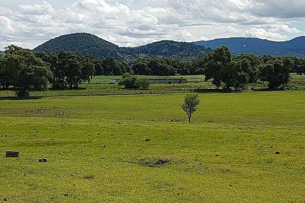 Foto de rancho en rancho el asterillo , loma del astillero, jiquipilco, méxico, 0 foto 01 Foto de rancho en venta en rancho el asterillo , loma del astillero, jiquipilco, méxico, 0 No. 01
