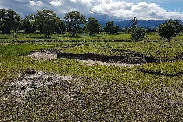 Foto de rancho en rancho el asterillo , loma del astillero, jiquipilco, méxico, 0 foto 06 Foto de rancho en venta en rancho el asterillo , loma del astillero, jiquipilco, méxico, 0 No. 06