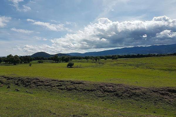 Foto de rancho en rancho el asterillo , loma del astillero, jiquipilco, méxico, 0 foto 07 Foto de rancho en venta en rancho el asterillo , loma del astillero, jiquipilco, méxico, 0 No. 07