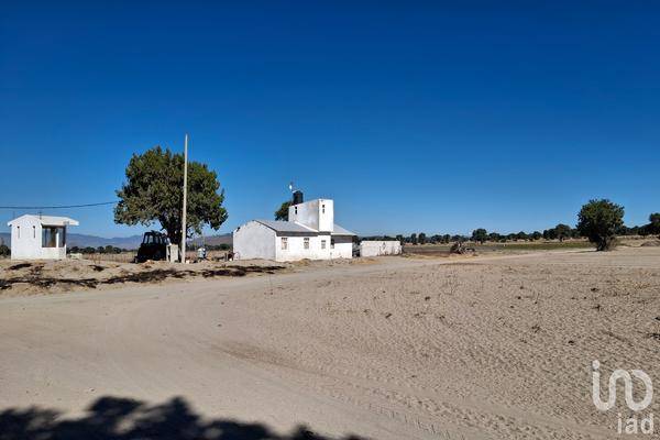 Foto de terreno comercial en rancho los magueyes , miravalles, oriental, puebla, 28983291 foto 01 Foto de terreno comercial en venta en rancho los magueyes , miravalles, oriental, puebla, 28983291 No. 01