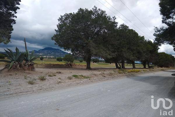 Foto de terreno comercial en rancho los magueyes , miravalles, oriental, puebla, 28983291 foto 02 Foto de terreno comercial en venta en rancho los magueyes , miravalles, oriental, puebla, 28983291 No. 02