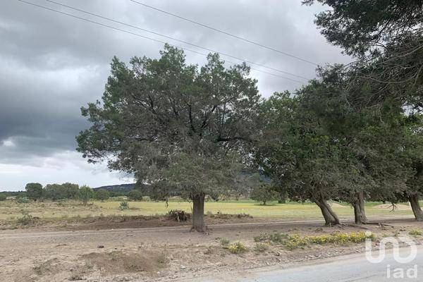 Foto de terreno comercial en rancho los magueyes , miravalles, oriental, puebla, 28983291 foto 03 Foto de terreno comercial en venta en rancho los magueyes , miravalles, oriental, puebla, 28983291 No. 03