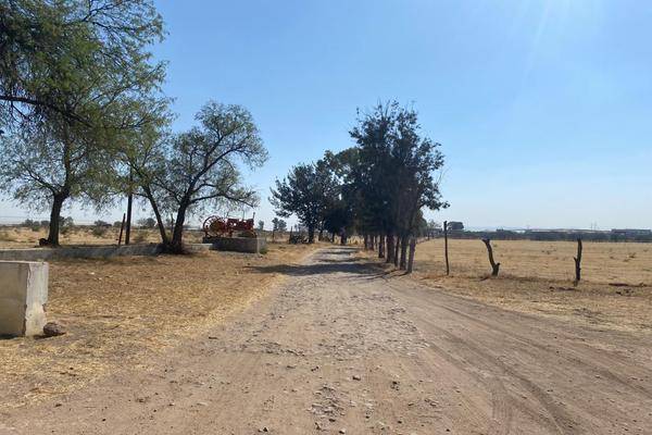 Foto de rancho en rancho los pirules , el coecillo s/n , luis moya centro, luis moya, zacatecas, 26236432 foto 02 Foto de rancho en venta en rancho los pirules , el coecillo s/n , luis moya centro, luis moya, zacatecas, 26236432 No. 02