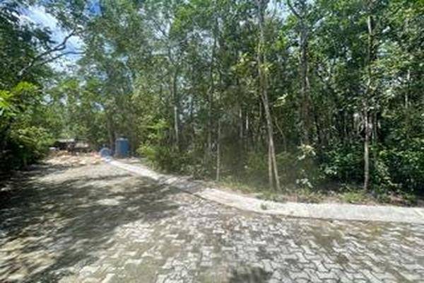 Foto de terreno habitacional en , region 15 kukulcan, tulum, quintana roo, 0 foto 02 Foto de terreno habitacional en venta en , region 15 kukulcan, tulum, quintana roo, 0 No. 02