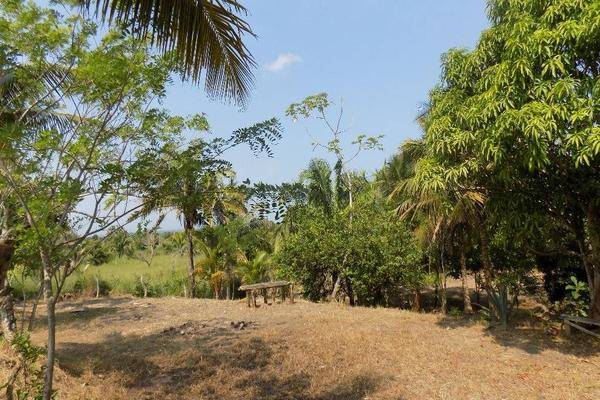 Foto de terreno habitacional en , residencial las olas, cosoleacaque, veracruz de ignacio de la llave, 26187305 foto 02 Foto de terreno habitacional en venta en , residencial las olas, cosoleacaque, veracruz de ignacio de la llave, 26187305 No. 02