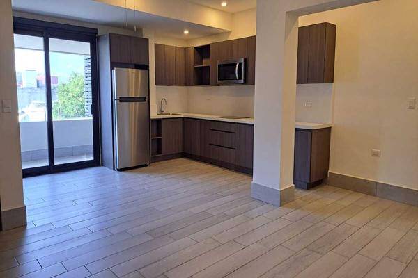 Foto de departamento en rio de la plata , del valle, san pedro garza garcía, nuevo león, 0 foto 01 Foto de departamento en renta en rio de la plata , del valle, san pedro garza garcía, nuevo león, 0 No. 01