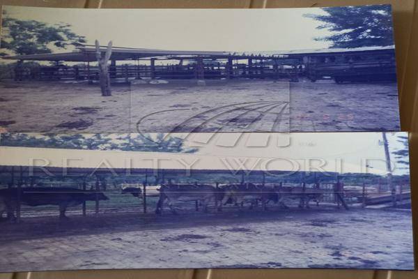 Foto de rancho en , río seco 3ra. sección (la playita), cunduacán, tabasco, 0 foto 03 Foto de rancho en venta en , río seco 3ra. sección (la playita), cunduacán, tabasco, 0 No. 03