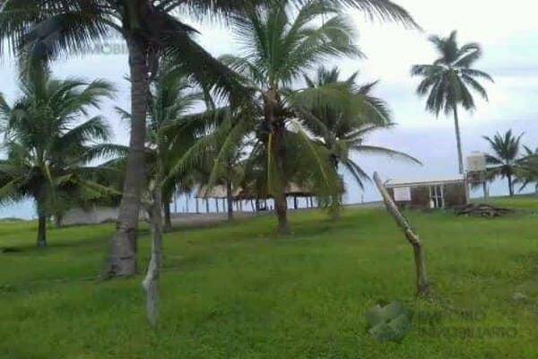 Foto de terreno habitacional en , san andrés, santiago ixcuintla, nayarit, 30298850 foto 02 Foto de terreno habitacional en venta en , san andrés, santiago ixcuintla, nayarit, 30298850 No. 02