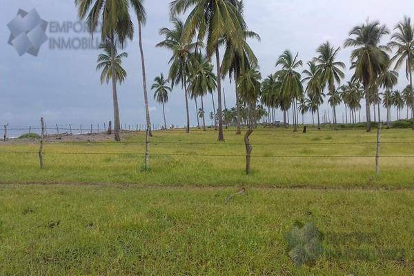 Foto de terreno habitacional en , san andrés, santiago ixcuintla, nayarit, 30298850 foto 04 Foto de terreno habitacional en venta en , san andrés, santiago ixcuintla, nayarit, 30298850 No. 04