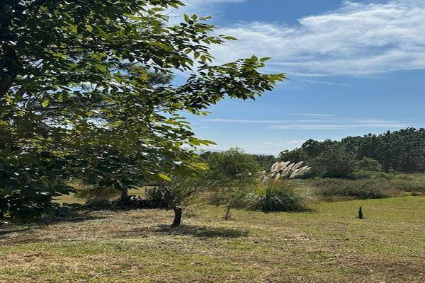 Foto de casa en , san antonio, tapalpa, jalisco, 30536683 foto 01 Foto de casa en venta en , san antonio, tapalpa, jalisco, 30536683 No. 01