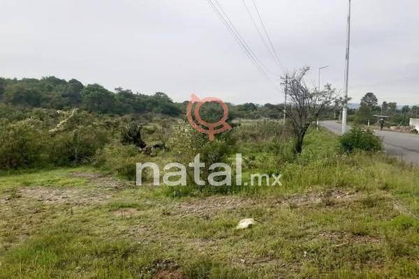 Foto de terreno habitacional en , san baltazar tetela, puebla, puebla, 29541217 foto 03 Foto de terreno habitacional en venta en , san baltazar tetela, puebla, puebla, 29541217 No. 03