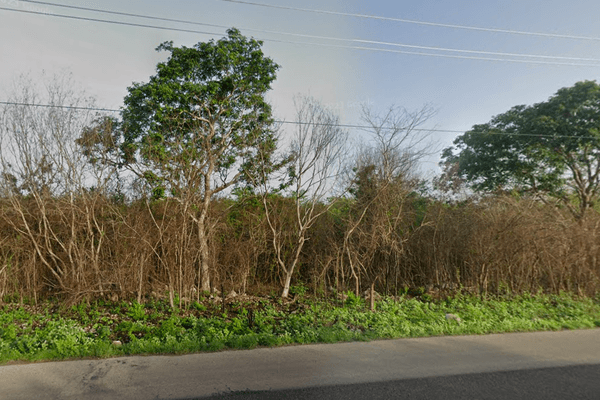 Foto de terreno habitacional en san diego cutz , san diego cutz, conkal, yucatán, 0 foto 02 Foto de terreno habitacional en venta en san diego cutz , san diego cutz, conkal, yucatán, 0 No. 02