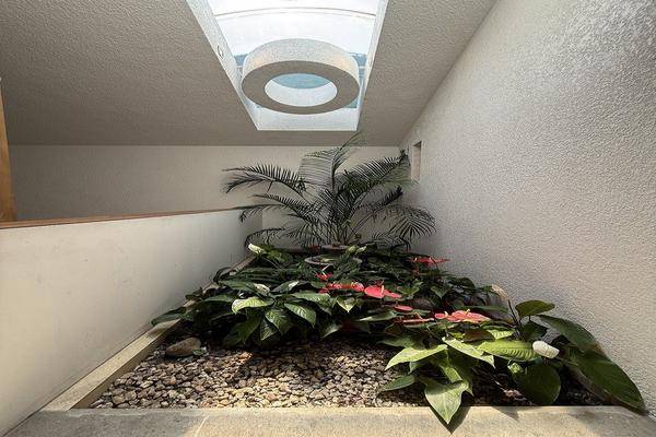 Foto de casa en , san jerónimo aculco, la magdalena contreras, df / cdmx, 0 foto 08 Foto de casa en renta en , san jerónimo aculco, la magdalena contreras, df / cdmx, 0 No. 08