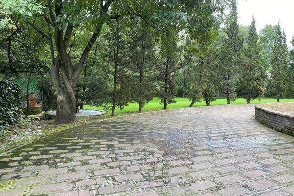 Foto de terreno habitacional en , san jerónimo lídice, la magdalena contreras, df / cdmx, 0 foto 01 Foto de terreno habitacional en venta en , san jerónimo lídice, la magdalena contreras, df / cdmx, 0 No. 01