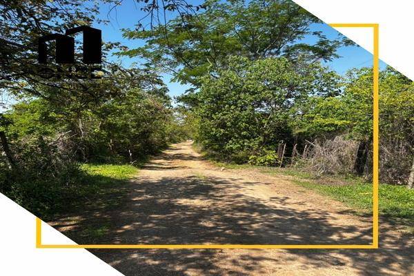 Foto de rancho en san joaquín , el trapiche, cuauhtémoc, colima, 0 foto 02 Foto de rancho en venta en san joaquín , el trapiche, cuauhtémoc, colima, 0 No. 02
