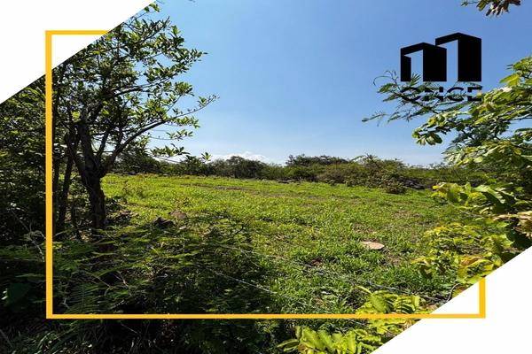 Foto de rancho en san joaquín , el trapiche, cuauhtémoc, colima, 0 foto 03 Foto de rancho en venta en san joaquín , el trapiche, cuauhtémoc, colima, 0 No. 03