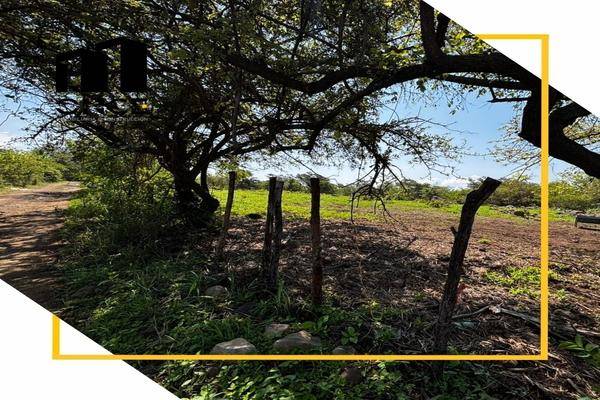 Foto de rancho en san joaquín , el trapiche, cuauhtémoc, colima, 0 foto 04 Foto de rancho en venta en san joaquín , el trapiche, cuauhtémoc, colima, 0 No. 04
