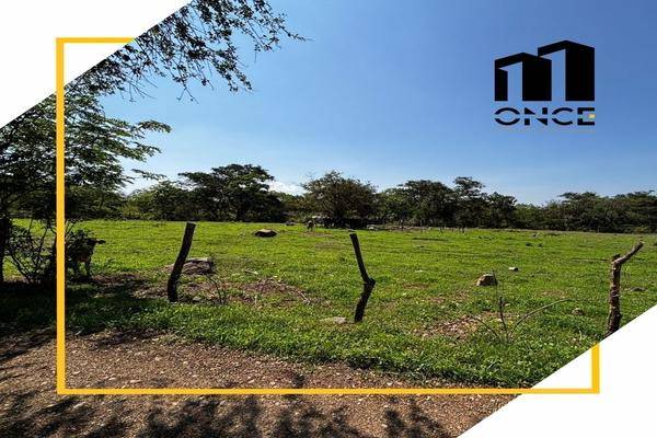 Foto de rancho en san joaquín , el trapiche, cuauhtémoc, colima, 0 foto 05 Foto de rancho en venta en san joaquín , el trapiche, cuauhtémoc, colima, 0 No. 05