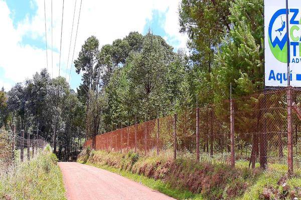 Foto de rancho en , san josé maquixtla, zacatlán, puebla, 0 foto 04 Foto de rancho en venta en , san josé maquixtla, zacatlán, puebla, 0 No. 04