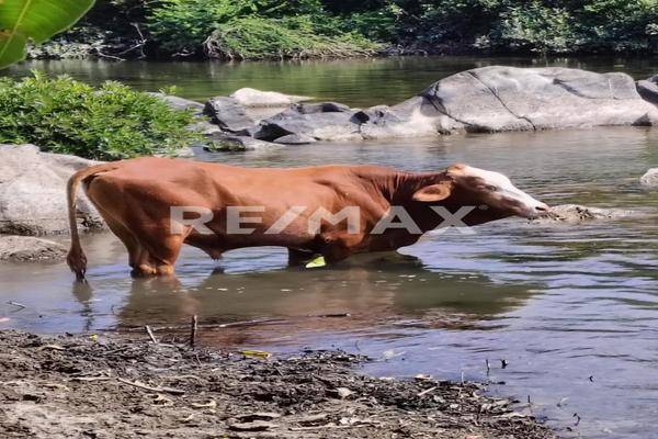 Foto de terreno comercial en san juan la frailesca , santiago niltepec, santiago niltepec, oaxaca, 0 foto 01 Foto de terreno comercial en venta en san juan la frailesca , santiago niltepec, santiago niltepec, oaxaca, 0 No. 01