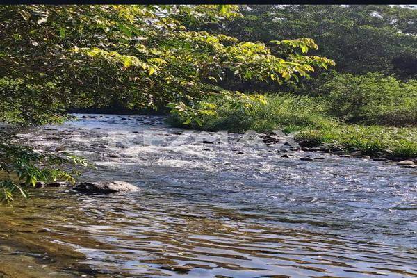 Foto de terreno comercial en san juan la frailesca , santiago niltepec, santiago niltepec, oaxaca, 0 foto 02 Foto de terreno comercial en venta en san juan la frailesca , santiago niltepec, santiago niltepec, oaxaca, 0 No. 02