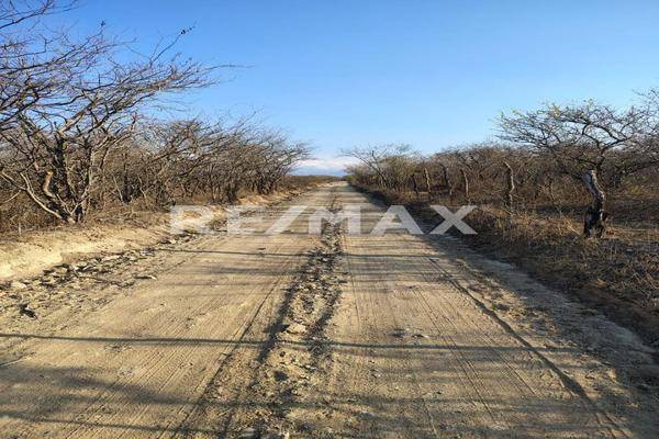 Foto de terreno comercial en san juan la frailesca , santiago niltepec, santiago niltepec, oaxaca, 0 foto 03 Foto de terreno comercial en venta en san juan la frailesca , santiago niltepec, santiago niltepec, oaxaca, 0 No. 03