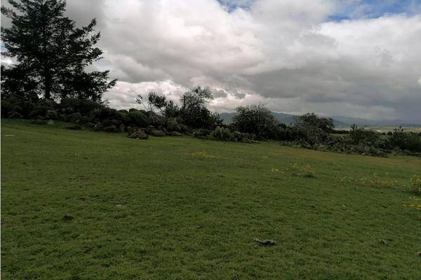 Foto de rancho en , san lorenzo sayula, cuautepec de hinojosa, hidalgo, 0 foto 03 Foto de rancho en venta en , san lorenzo sayula, cuautepec de hinojosa, hidalgo, 0 No. 03