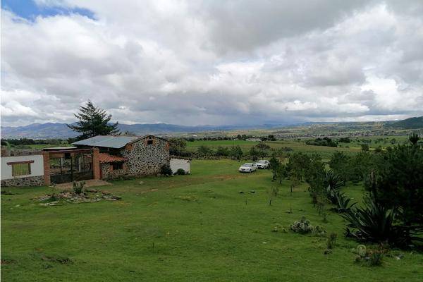 Foto de rancho en , san lorenzo sayula, cuautepec de hinojosa, hidalgo, 0 foto 04 Foto de rancho en venta en , san lorenzo sayula, cuautepec de hinojosa, hidalgo, 0 No. 04