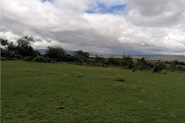 Foto de rancho en , san lorenzo sayula, cuautepec de hinojosa, hidalgo, 0 foto 05 Foto de rancho en venta en , san lorenzo sayula, cuautepec de hinojosa, hidalgo, 0 No. 05