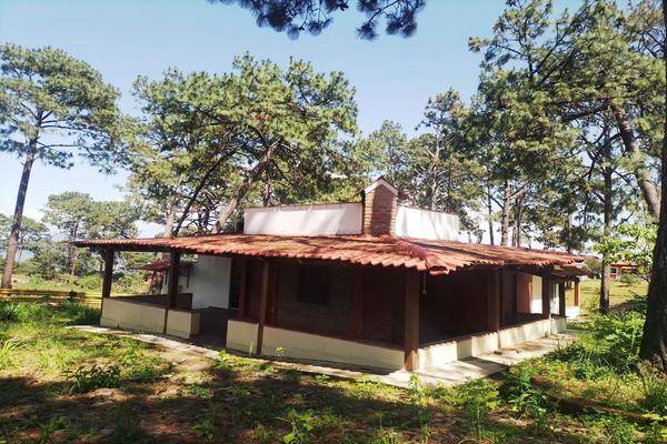 Foto de casa en san marcos jalisco , san marcos, san marcos, jalisco, 0 foto 03 Foto de casa en venta en san marcos jalisco , san marcos, san marcos, jalisco, 0 No. 03