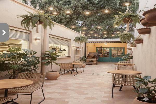 Foto de local en , san miguel chapultepec ii sección, miguel hidalgo, df / cdmx, 0 foto 01 Foto de local en renta en , san miguel chapultepec ii sección, miguel hidalgo, df / cdmx, 0 No. 01