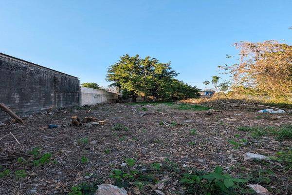 Foto de terreno habitacional en san sebastian centro , merida centro, mérida, yucatán, 0 foto 02 Foto de terreno habitacional en venta en san sebastian centro , merida centro, mérida, yucatán, 0 No. 02