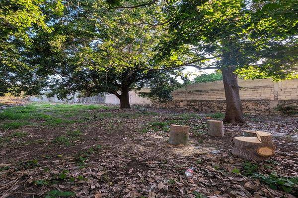 Foto de terreno habitacional en san sebastian centro , merida centro, mérida, yucatán, 0 foto 03 Foto de terreno habitacional en venta en san sebastian centro , merida centro, mérida, yucatán, 0 No. 03