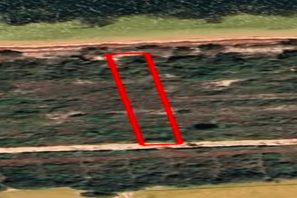 Foto de terreno habitacional en , santa clara, dzidzantún, yucatán, 0 foto 02 Foto de terreno habitacional en venta en , santa clara, dzidzantún, yucatán, 0 No. 02