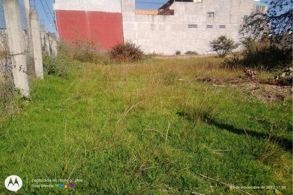Foto de terreno habitacional en seccion tercera de san lorenzo chiautzingo, san lorenzo chiautzingo, 1, san lorenzo chiautzingo, chiautzingo, puebla, 0 foto 05 Foto de terreno habitacional en venta en seccion tercera de san lorenzo chiautzingo, san lorenzo chiautzingo, 1, san lorenzo chiautzingo, chiautzingo, puebla, 0 No. 05