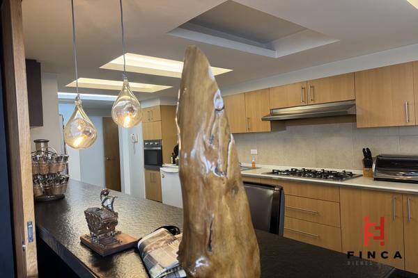 Foto de departamento en sierra camerun , lomas de chapultepec i sección, miguel hidalgo, df / cdmx, 30318589 foto 02 Foto de departamento en renta en sierra camerun , lomas de chapultepec i sección, miguel hidalgo, df / cdmx, 30318589 No. 02