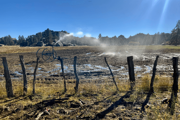 Foto de terreno habitacional en sierra juarez , ojos negros, ensenada, baja california, 0 foto 01 Foto de terreno habitacional en venta en sierra juarez , ojos negros, ensenada, baja california, 0 No. 01