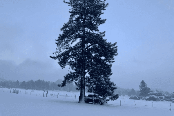 Foto de terreno habitacional en sierra juarez , ojos negros, ensenada, baja california, 0 foto 02 Foto de terreno habitacional en venta en sierra juarez , ojos negros, ensenada, baja california, 0 No. 02